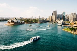Sydney: 3-Course Dinner Harbor Cruise with Drinks