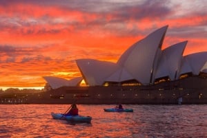 Sydney: tour in kayak all'alba del porto