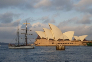 Sydney: Auringonlaskun risteily satamassa ja illallinen
