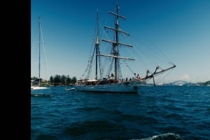 Sydney: Crucero por el puerto al atardecer con cena