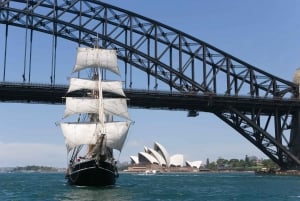 Sydney Harbor: Theatrical Pirates Cruise