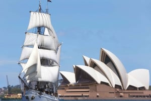 Sydney Harbor: Theatrical Pirates Cruise