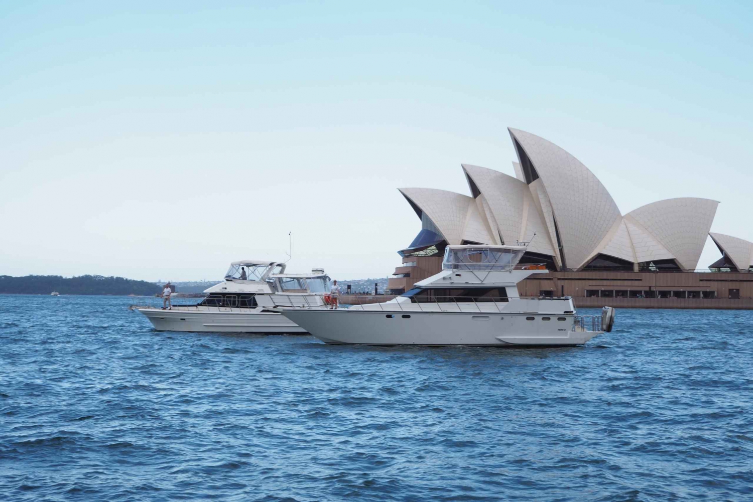 Port de Sydney : Croisière matinale de 2 heures en yacht avec thé du matin