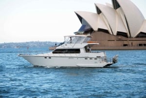 Sydney Harbour: 2 timers yachtkrydstogt om morgenen med morgente