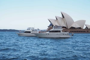 Sydney Harbour: 2-timmars morgonkryssning med yacht och morgonte
