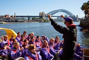 Sydney Harbour: 45-minutters adrenalin-pumpende jetbåttur