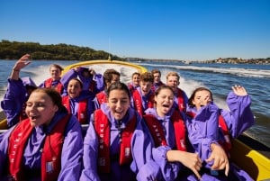 Porto de Sydney: passeio de adrenalina extrema de 45 minutos