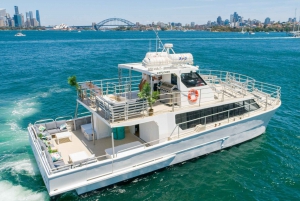 Sydney: Premium Catamaran Vivid Cruise met Welkomstdrankje