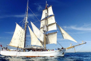 Port de Sydney : course de grands voiliers Soren Larsen pour la fête de l'Australie