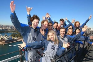 シドニーシドニー・ハーバー・ブリッジのガイド付き日帰り登山