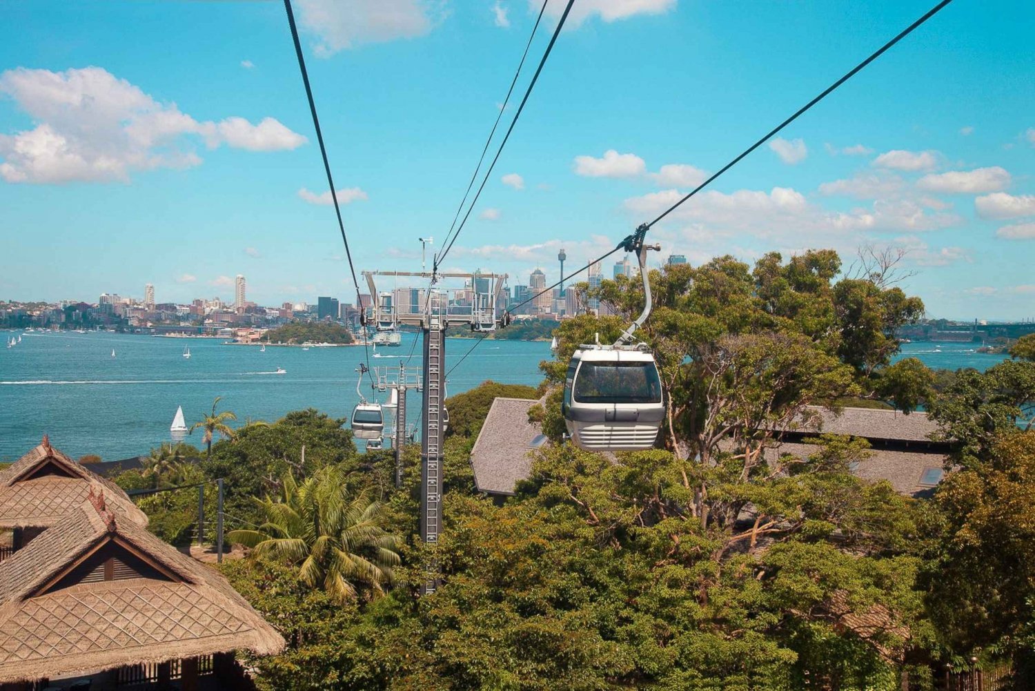 Sydney: Harbour Cruise and Taronga Zoo