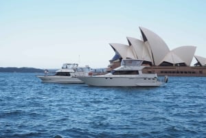 Sydney: Havnecruise med gourmet BBQ-lunsj, øl og vin