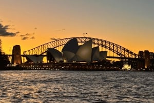 Sydney: Sataman illallisristeily buffetilla