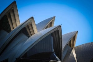 Sydney: Katamaran-cruise med høydepunkter i havnen