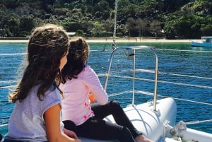 Sydney: haven highlights catamaran cruise