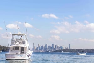 Puerto de Sidney: Crucero de lujo con varias paradas y almuerzo progresivo