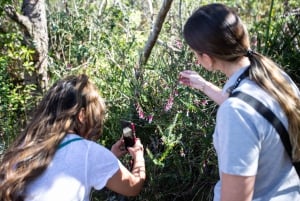 Tour a pie de 2 horas por el Parque Nacional del Puerto de Sídney