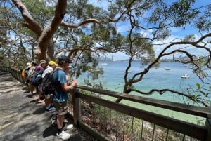Sydney Harbour National Park 2-Hour Walking Tour