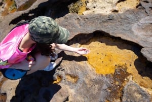 Sydney Harbour National Park 2-Hour Walking Tour