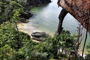 Sydney Harbour, Nature Immersion
