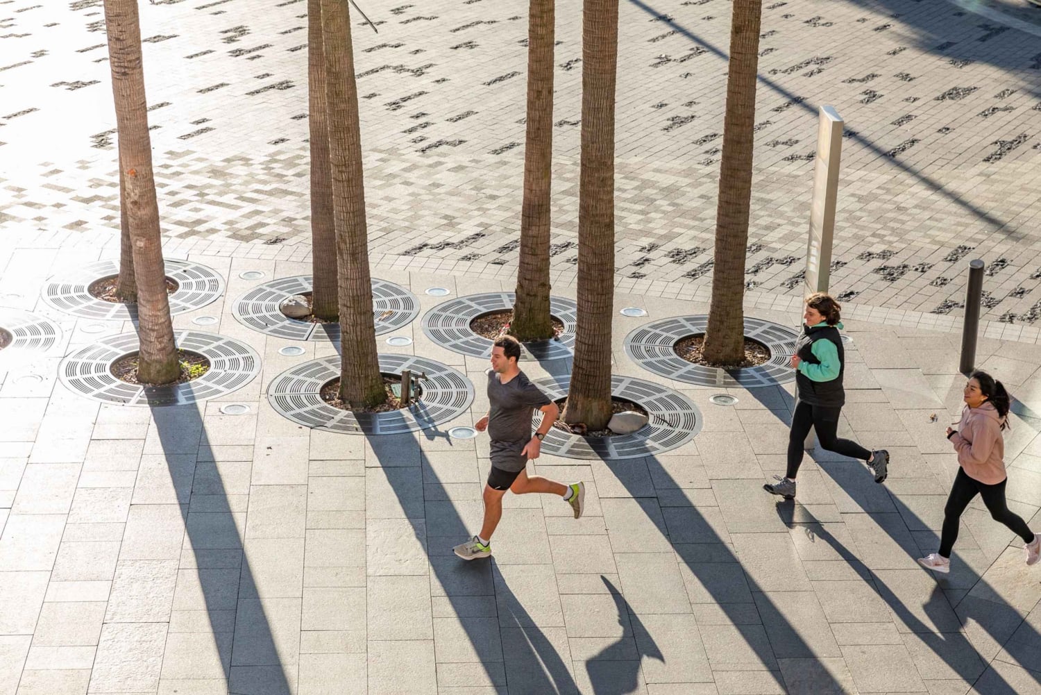 Sydney: Sataman nähtävyydet juoksukierroksella