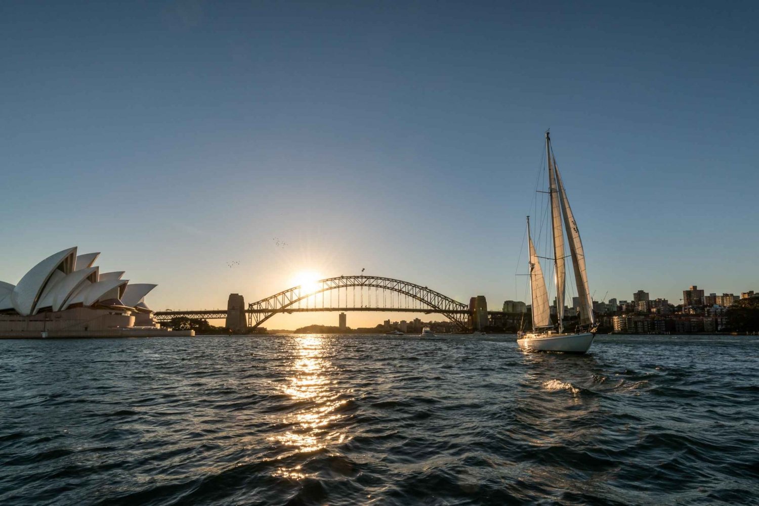 Sydney Harbour Sightseeing and History on Classic Yacht