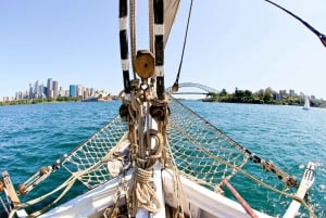 Haven van Sydney: middagcruise op een groot schip