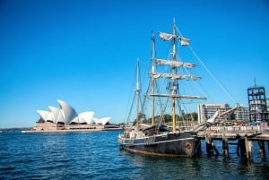 Puerto de Sidney: Almuerzo en un crucero de grandes barcos