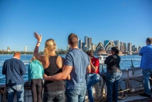 Port de Sydney : Déjeuner-croisière sur les grands voiliers