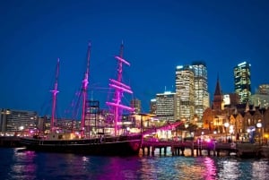 Porto di Sydney: Crociera con cena Tall Ship Vivid