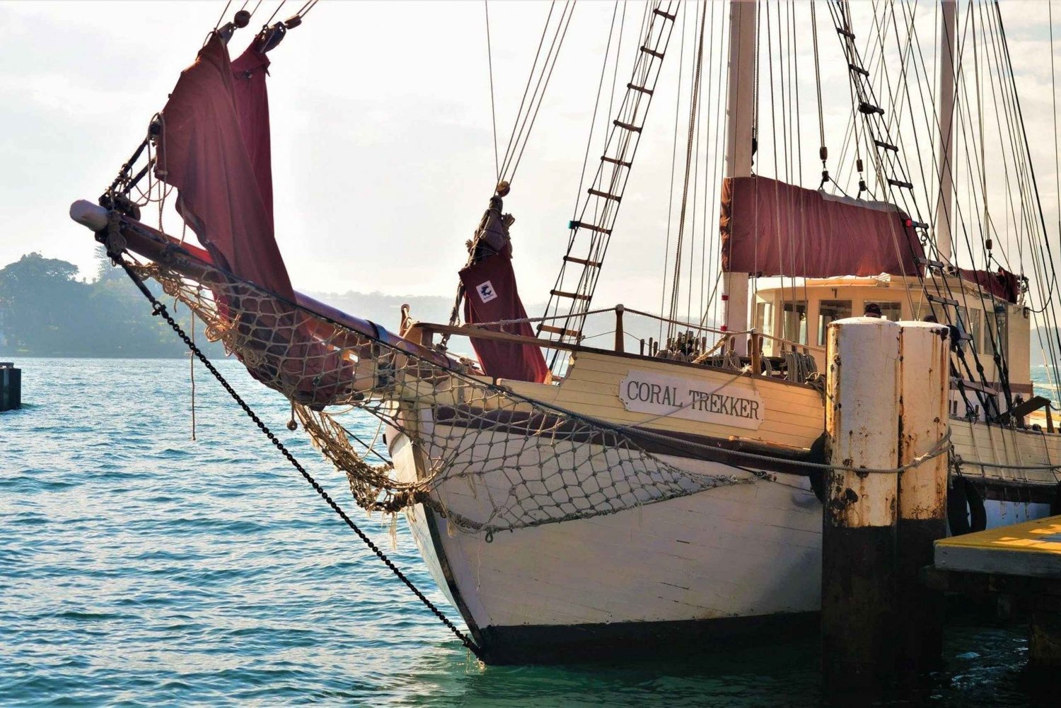 Sydney Harbour Tall Ships: Overnight Harbour Cruise