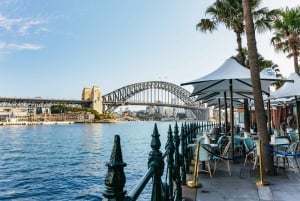 Sydney Harbour: Thunder-Thrill-Fahrt