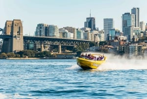 Sydney Harbour: Thunder-Thrill-Fahrt
