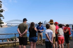 Del puerto de Sídney a Bondi: experiencia de medio día para grupos pequeños