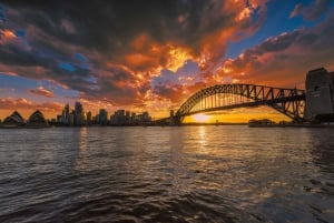 Krydstogt i Sydney Harbour om sande forbrydelser