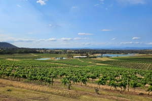 Sydney Hunter Valley Tour (Private)
