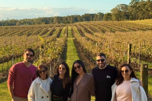 Sydney: Hunter Valley Wine, Cheese, and Chocolate Tour