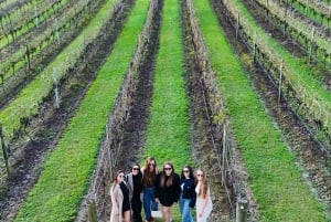 Sydney: Hunter Valley Wine, Cheese, and Chocolate Tour