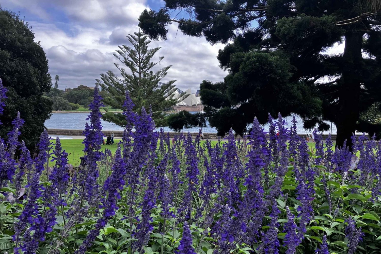 Sydney in Nature - Walking Tour