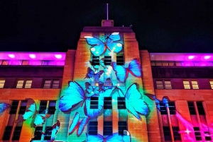 Sydney: Intimate Vivid Harbour Cruise with Canapes