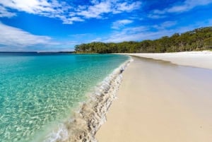 Sydney: gita di 1 giorno a Jervis Bay con delfini, canguri e spiaggia
