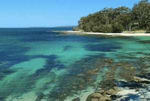 Sydney: gita di 1 giorno a Jervis Bay con delfini, canguri e spiaggia