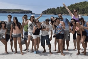 Sydney: gita di 1 giorno a Jervis Bay con delfini, canguri e spiaggia