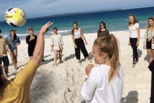Sydney: gita di 1 giorno a Jervis Bay con delfini, canguri e spiaggia