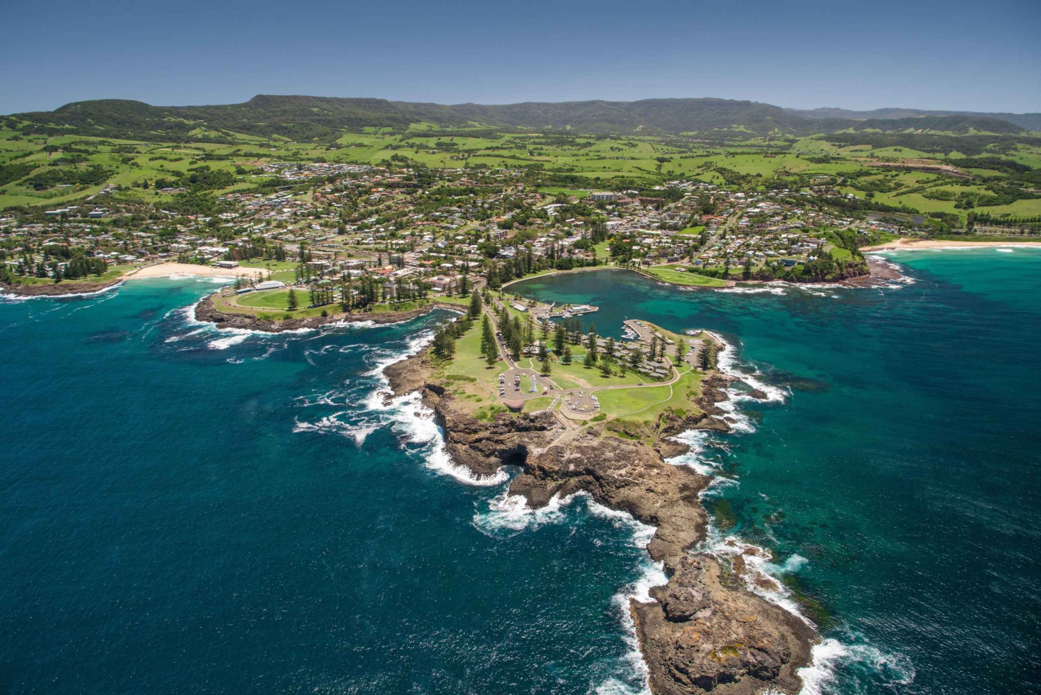 Sydney: Jervis Bay Dolphin Cruise and Kiama Blowhole Tour