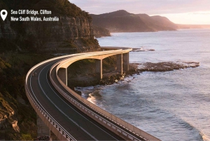 Sydney: Jervis Bay Dolphin Cruise and Kiama Blowhole Tour