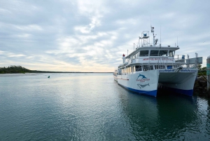 Sydney: Jervis Bay Dolphin Cruise and Kiama Blowhole Tour