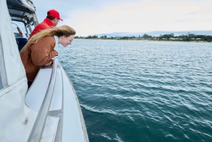 Sydney: Jervis Bay Dolphin Cruise and Kiama Blowhole Tour