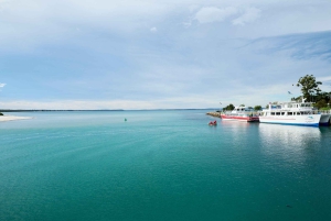 Sydney: Jervis Bay Dolphin Cruise and Kiama Blowhole Tour