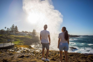 Sydney: Jervis Bay Dolphin Cruise and Kiama Blowhole Tour
